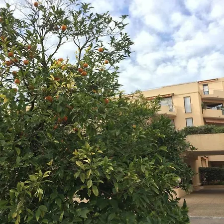 Les Orangers Appartamento